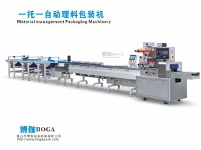 一托一自動理料包裝機(jī)